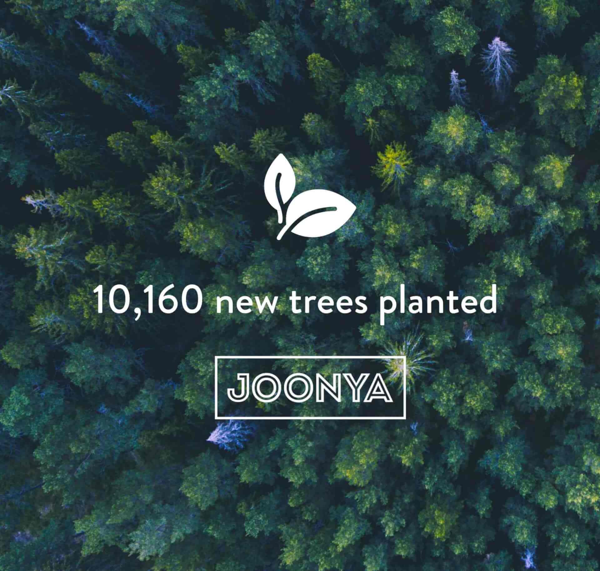 The Joonya forest is growing fast!
